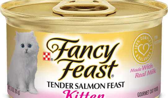 Fancy Feast Kitten Classic Paté Tender Salmon Feast Kitten Food